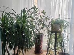 -逸栈养生SPA(望京店)