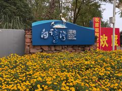 -白鹭湾湿地公园