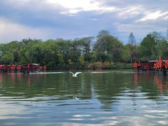 -西溪国家湿地公园