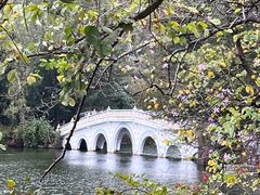 -星湖旅游景区七星岩