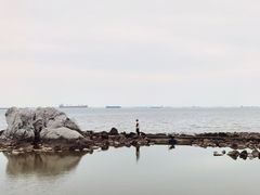-上海吴淞炮台湾国家湿地公园