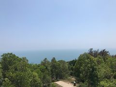 -广东惠东海龟国家级自然保护区