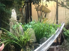 -阿南海鲜