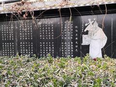 -东方巨龟苑景区