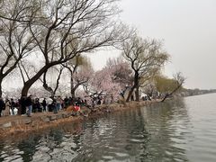-颐和园