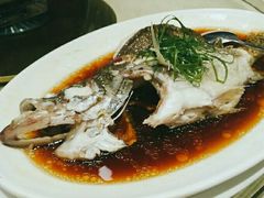 白水鱼-金时代顺风大酒店(协泰店)