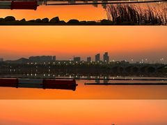 -九龙湖公园
