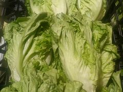 -楠铭果超市(绿地缤纷广场店)