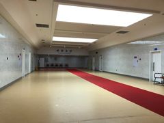 -重庆市奥林匹克体育中心-游泳跳水馆