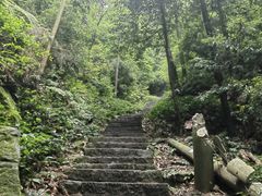-缙云山景区