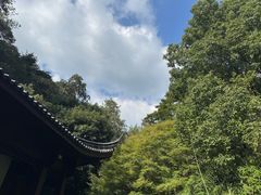 -龙井村