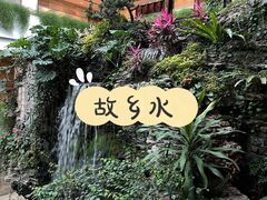 -白天鹅宾馆-宏图府餐厅