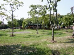 -上海海湾国家森林公园