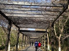 -九龙潭景区