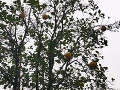 -张家界青和锦江国际酒店