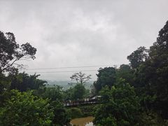 -天鹿湖森林公园