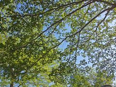 景点-深圳国际园林花卉博览园