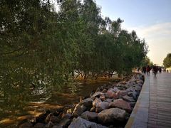 -宝安西湾红树林湿地公园