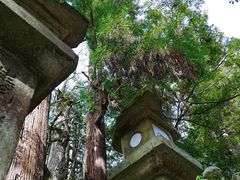 -奈良公园