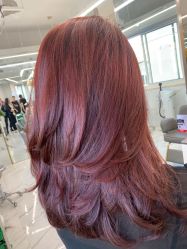 -潘多拉Hairsalon