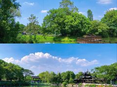 -西溪国家湿地公园