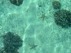 -卡帕莱度假村(西巴丹岛)