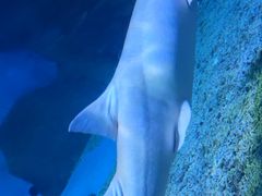 -泉城欧乐堡海洋极地世界