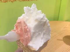 紅蕃石榴-柠檬车露(卖草地店)