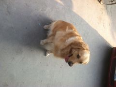 桂林市花鸟市场-桂林市花鸟市场