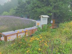 -云峰山自然风景区