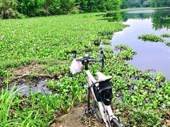 -白鹭湾湿地公园