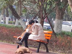 -沙市市中山公园