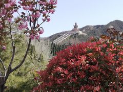 -龙口南山旅游景区
