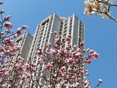 -马栏河运动公园
