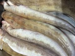 -五谷丰登·胶东海鲜·家常菜(张村店)