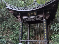 -十八棵（老龙井）御茶园(老龙井店)