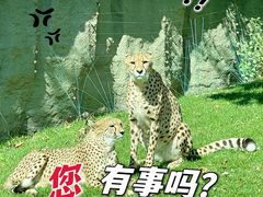 -北京野生动物园