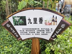 -西双版纳基诺山寨