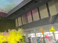 -上海环球金融中心骑迹50年环球之旅