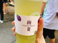 -树夏(锦里店)