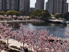 -新江湾城公园