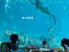 -海棠湾洲际-涛·海底餐厅·美人鱼·自助餐·海底隧道