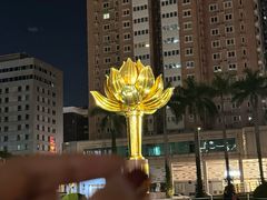 -金莲花广场