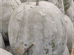 -农汤老店(顺联公园里店)