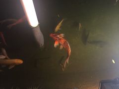 -绿华园休闲山庄