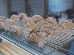 -面包与我Bread Or Me(长城汇店)
