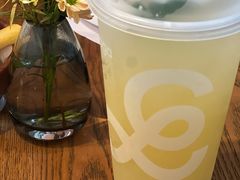 -gaga(深圳南山益田假日广场店)