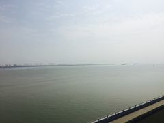 -大湾区中央湿地公园