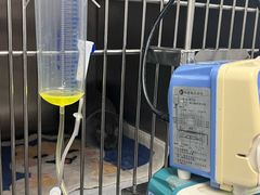 -瑞派·关忠动物医院·猫专科·犬专科(三环新城店)