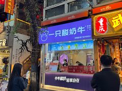 -一只酸奶牛(八一路店)